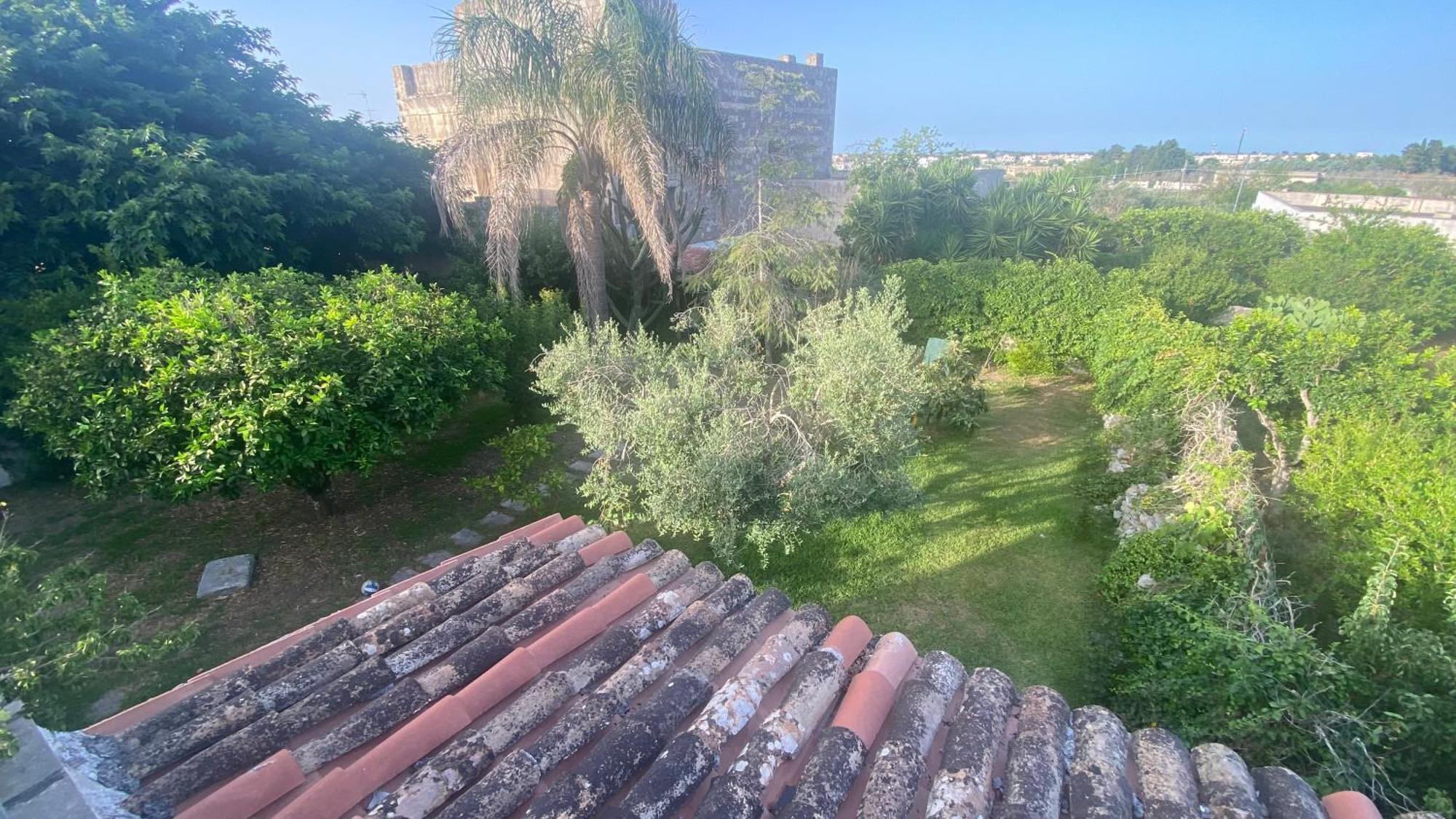 La Civetta Villa Specchia Gallone Exterior photo